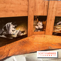 La Grotte Chauvet à la Cité des Sciences, nos photos  - image00003