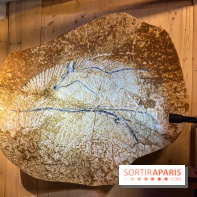 La Grotte Chauvet à la Cité des Sciences, nos photos  - image00005