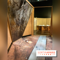 La Grotte Chauvet à la Cité des Sciences, nos photos  - image00001