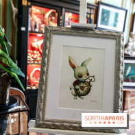 Benjamin Lacombe, nos photos de son exposition chez Deyrolle à Paris - IMG 6517