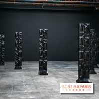 Exposition Barbara Chase-Riboud au Palais de Tokyo - :