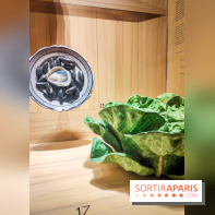 Le trompe-l'œil, une exposition qui nous fait tourner la tête se dévoile au musée Marmottan-Monet - IMG20241016150229