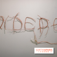 Exposition Praesentia de Myriam Mihindou au Palais de Tokyo - DSC 1614