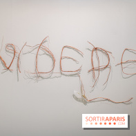 Exposition Praesentia de Myriam Mihindou au Palais de Tokyo - DSC 1615