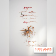 Exposition Praesentia de Myriam Mihindou au Palais de Tokyo - DSC 1620