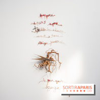 Exposition Praesentia de Myriam Mihindou au Palais de Tokyo - DSC 1621