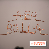 Exposition Praesentia de Myriam Mihindou au Palais de Tokyo - DSC 1627