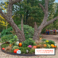 Les Esprits de la Forêt - IMG 5591