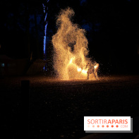 Les Esprits de la Forêt - IMG 5634