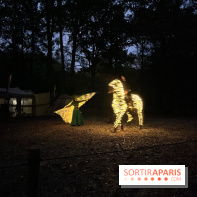 Les Esprits de la Forêt