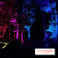Les Esprits de la Forêt