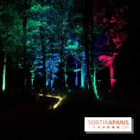 Les Esprits de la Forêt