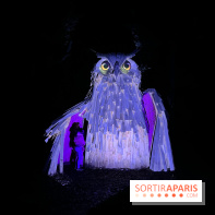 Les Esprits de la Forêt - IMG 5671