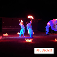 Les Esprits de la Forêt - IMG 5709