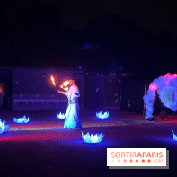 Les Esprits de la Forêt - IMG 5713