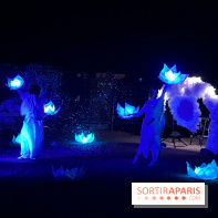 Les Esprits de la Forêt - IMG 5725