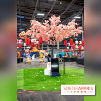 Paris Games Week 2024 - DSC 1904