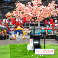 Paris Games Week 2024 - DSC 1905