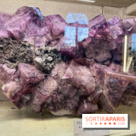 Musée de Minéralogie - IMG 5818