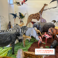 La faune en plis - nos photos - image00027