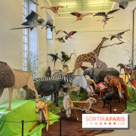 La faune en plis - nos photos - image00028