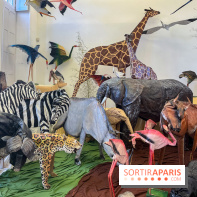 La faune en plis - nos photos - image00025