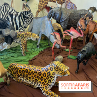 La faune en plis - nos photos - image00026