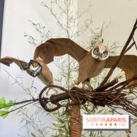 La faune en plis - nos photos