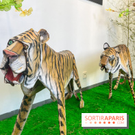 La faune en plis - nos photos - image00023