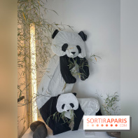 La faune en plis - nos photos
