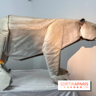 La faune en plis - nos photos - image00017