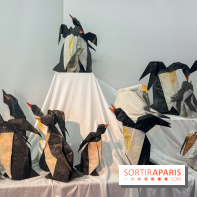 La faune en plis - nos photos