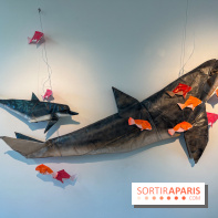 La faune en plis - nos photos - image00015