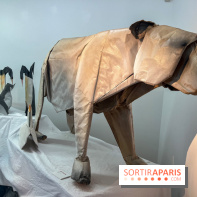 La faune en plis - nos photos