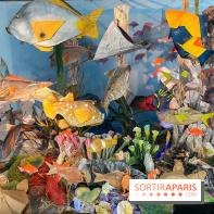 La faune en plis - nos photos - image00012