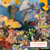 La faune en plis - nos photos - image00013