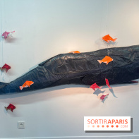 La faune en plis - nos photos - image00010