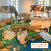 La faune en plis - nos photos - image00007