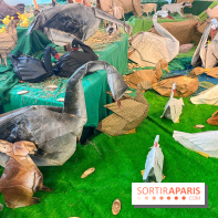 La faune en plis - nos photos - image00008