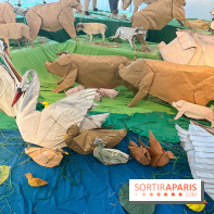 La faune en plis - nos photos - image00004