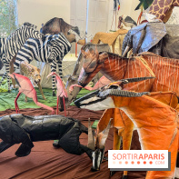 La faune en plis - nos photos - image00001