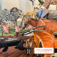 La faune en plis - nos photos - image00002