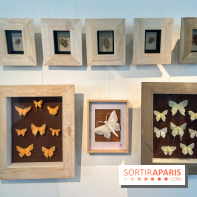 La faune en plis - nos photos - image00003