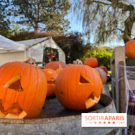 La Fête de la Citrouille - nos photos - image00017