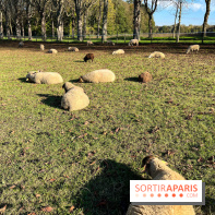 La Fête de la Citrouille - nos photos - image00012