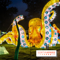 Thoiry Lumières Sauvages 2024, les Voyages Extraordinaires de Jules Verne - photos