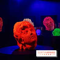 Pixels au Grand Palais Immersif : nos photos de l'exposition qui mêle art numérique et IA - DSC 2005