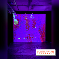 Pixels au Grand Palais Immersif : nos photos de l'exposition qui mêle art numérique et IA - IMG 0930