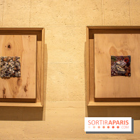 Exposition Les Cimes de l’Asphalte de Duy Anh Nhan Duc à l’Espace Richaud