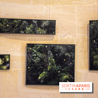 Exposition Les Cimes de l’Asphalte de Duy Anh Nhan Duc à l’Espace Richaud